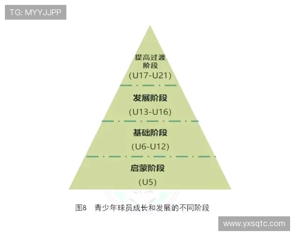 探索当代足球运动员成长路径与赛场表现及职业发展趋势深度解析