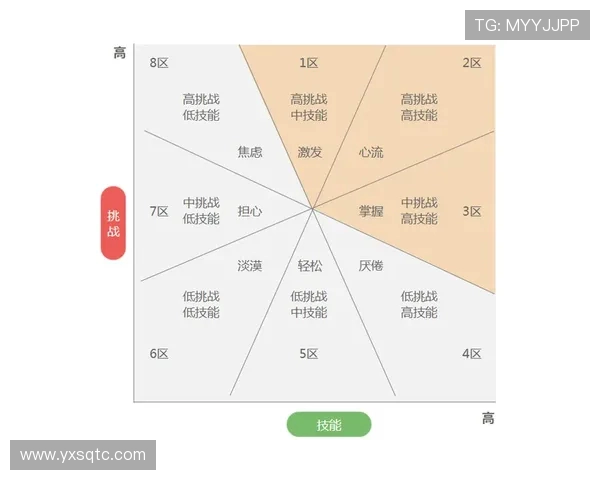 从零起步打造滑板团队协作的全面指南与实战技巧分享
