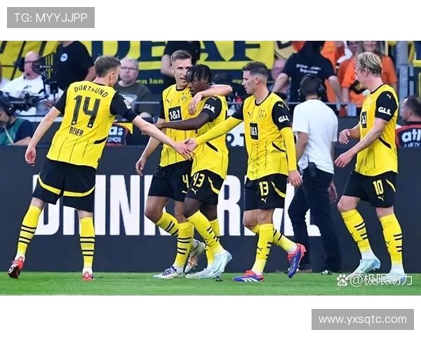多特蒙德与汉堡激战集锦回顾精彩瞬间与进球分析